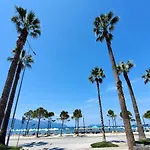 The Endless Summer